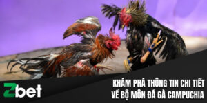 Khám Phá Thông Tin Chi Tiết Về Bộ Môn Đá Gà Campuchia  1 Đá gà Campuchia